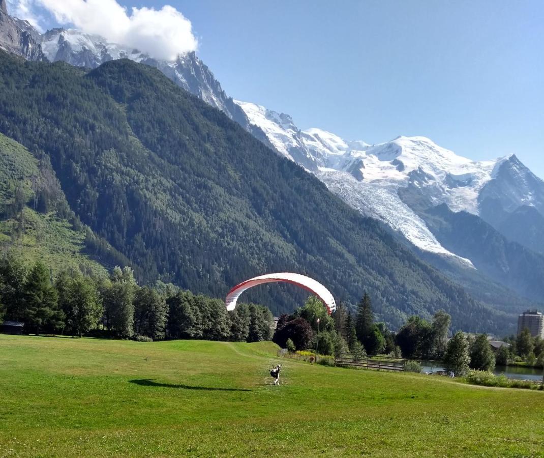Happy Moose - Cosy Mont Blanc View Apartment Chamonix Exterior photo