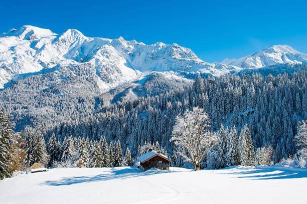Happy Moose - Cosy Mont Blanc View Apartment Chamonix Exterior photo