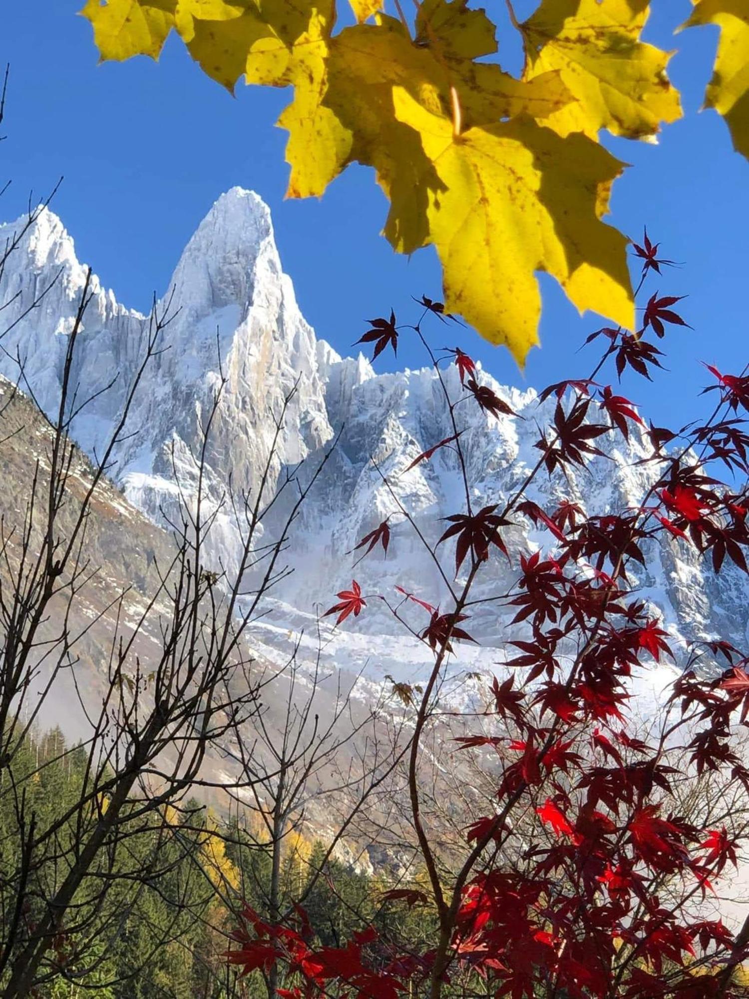 Happy Moose - Cosy Mont Blanc View Apartment Chamonix Exterior photo